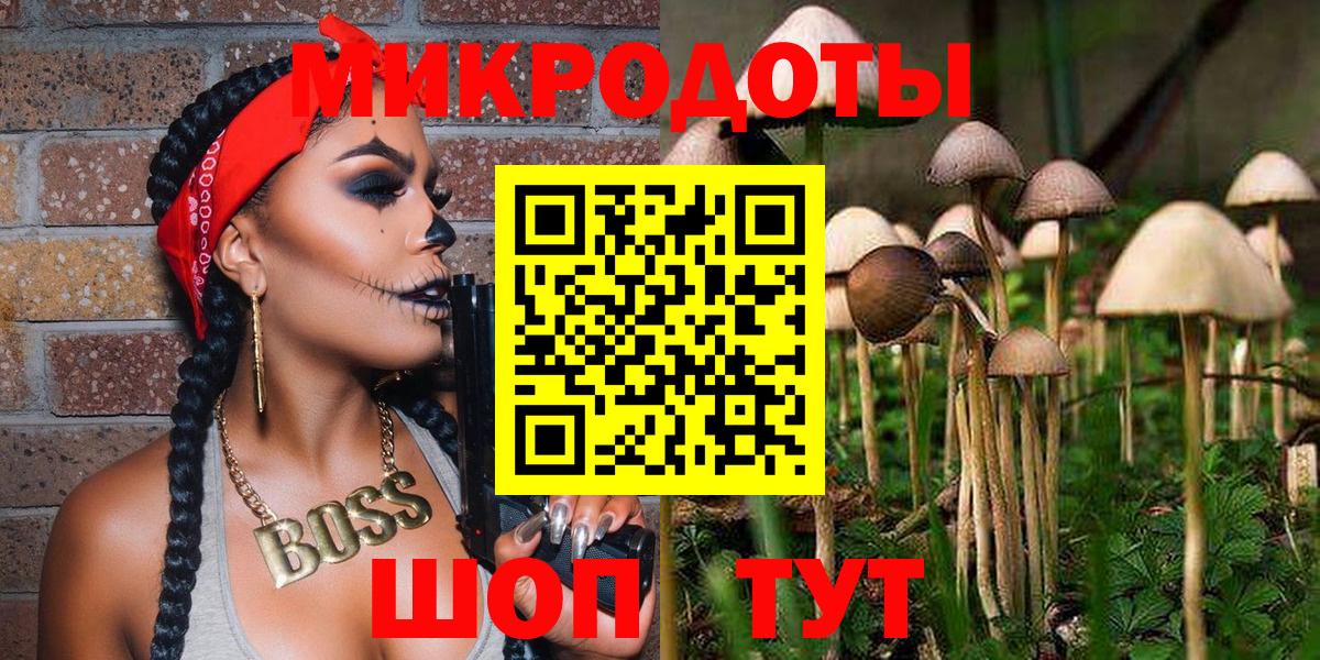 Галлюциногенные грибы Psilocybe Зеленогорск