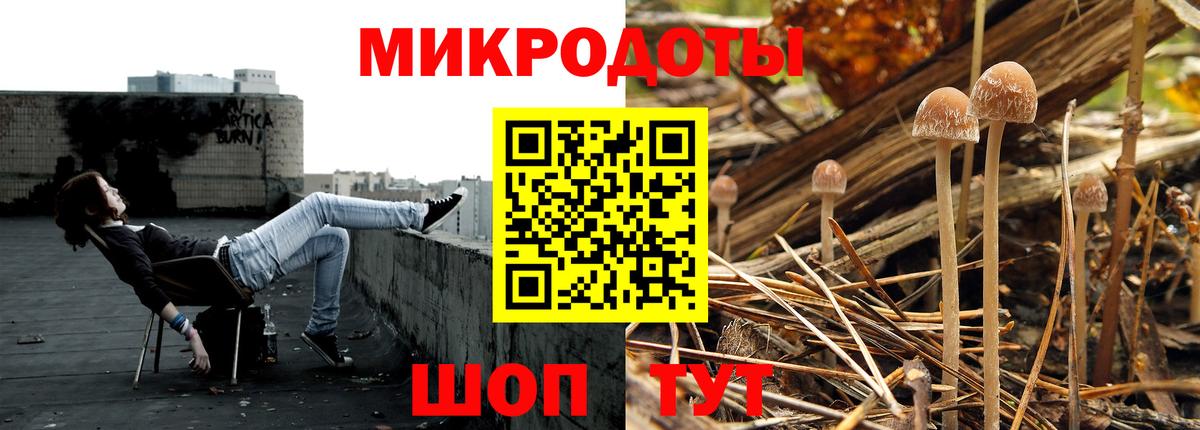 Галлюциногенные грибы прущие грибы  Псилоцибиновые грибы Psilocybine cubensis  Вход с VPN  Зеленогорск 